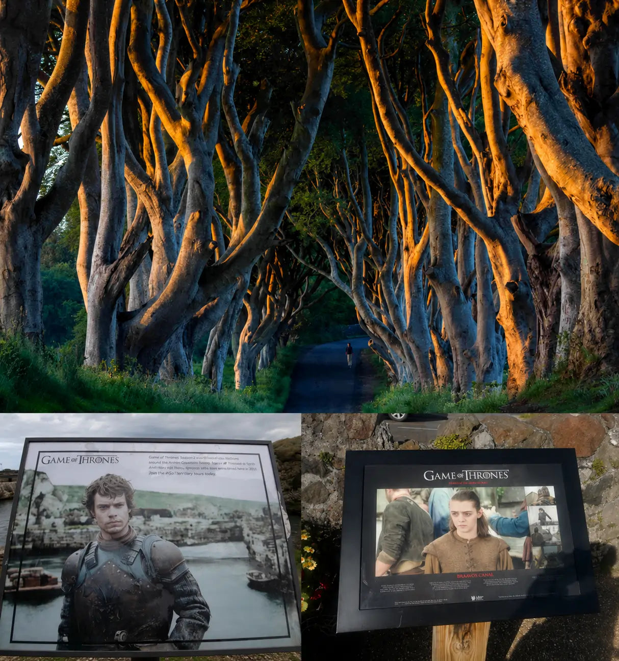 Game of Thrones Filming Locations from Belfast: Best Stops on the Causeway Coast